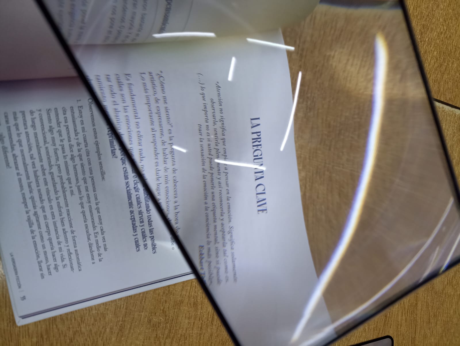 WhatsApp Image 2025-09-10 at 9.44.11 AM