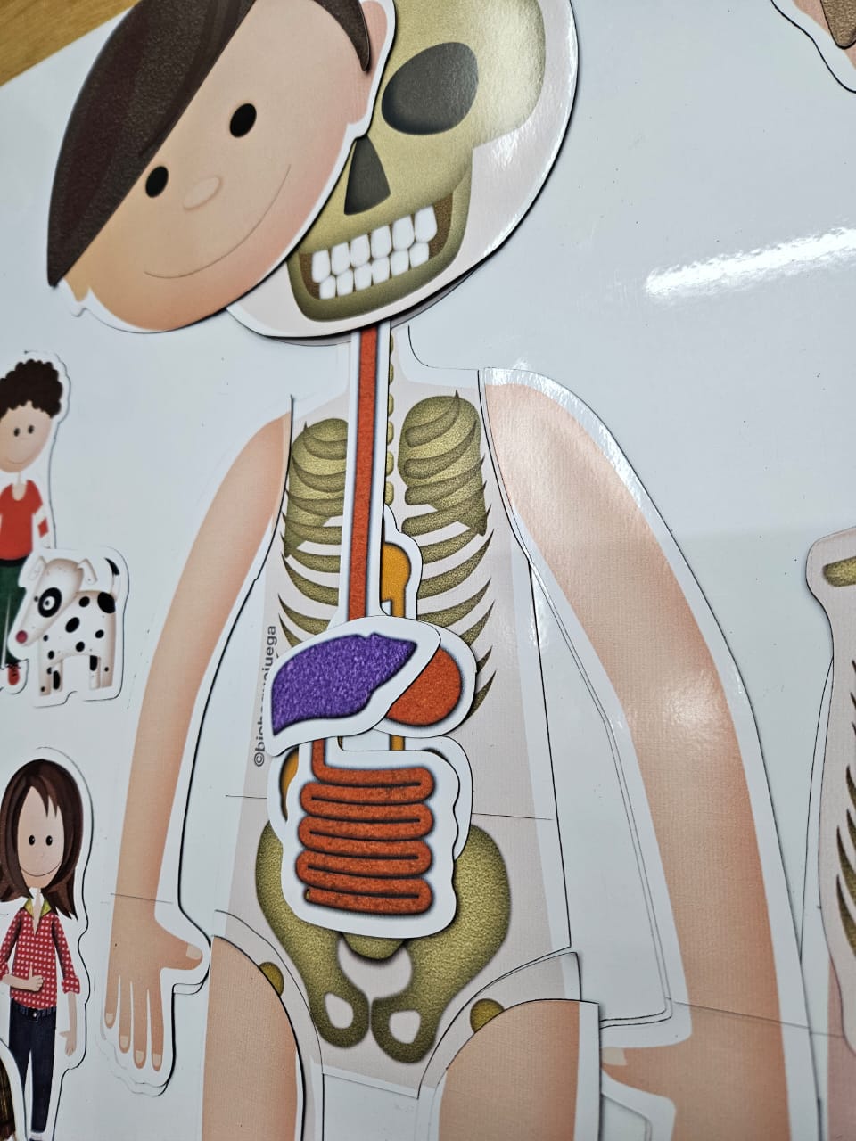 WhatsApp Image 2025-11-10 at 12.22.50