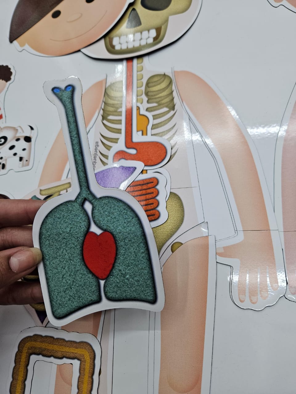 WhatsApp Image 2025-11-10 at 12.22.51 (2)