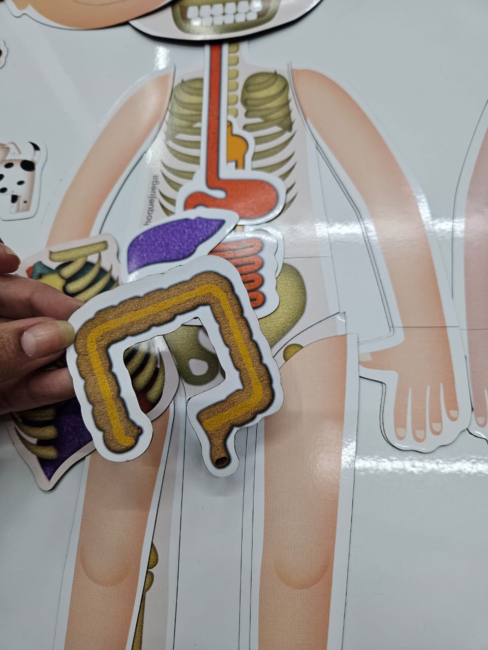 WhatsApp Image 2025-11-10 at 12.22.51 (3)