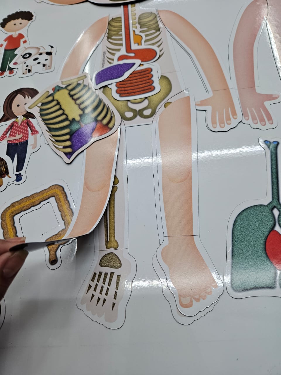 WhatsApp Image 2025-11-10 at 12.22.51 (4)