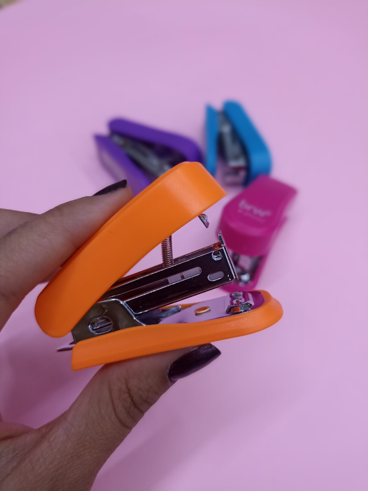 WhatsApp Image 2026-01-28 at 10.58.59 AM (1)