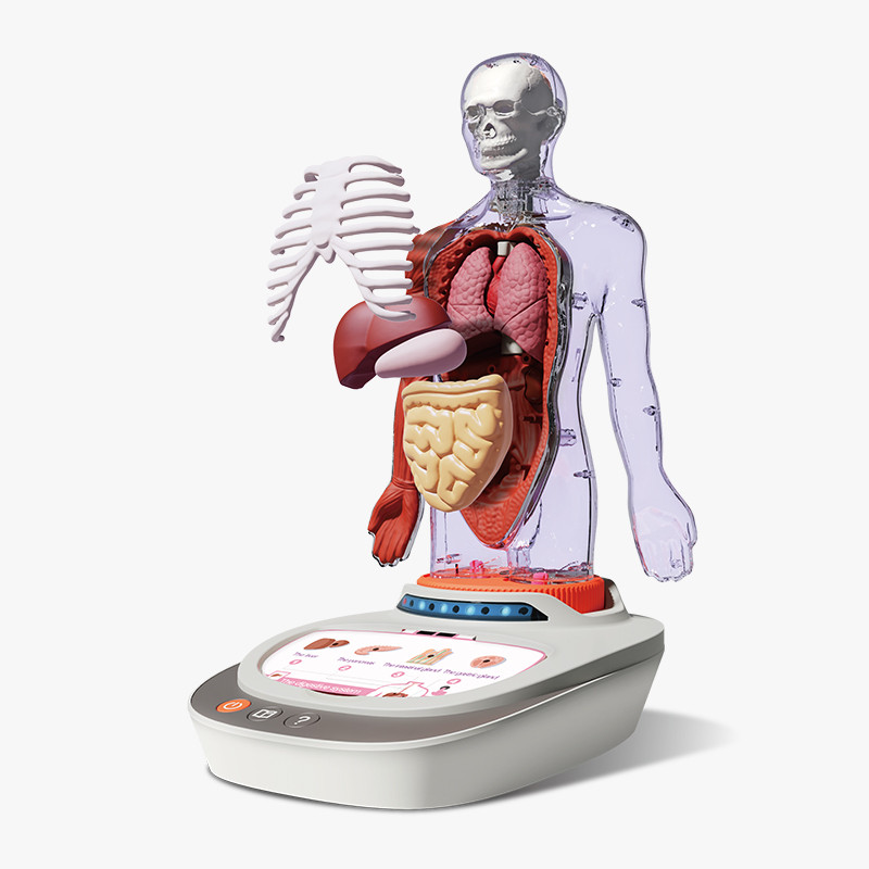 play-toyz-mi-cuerpo-vozpedia-interactivo